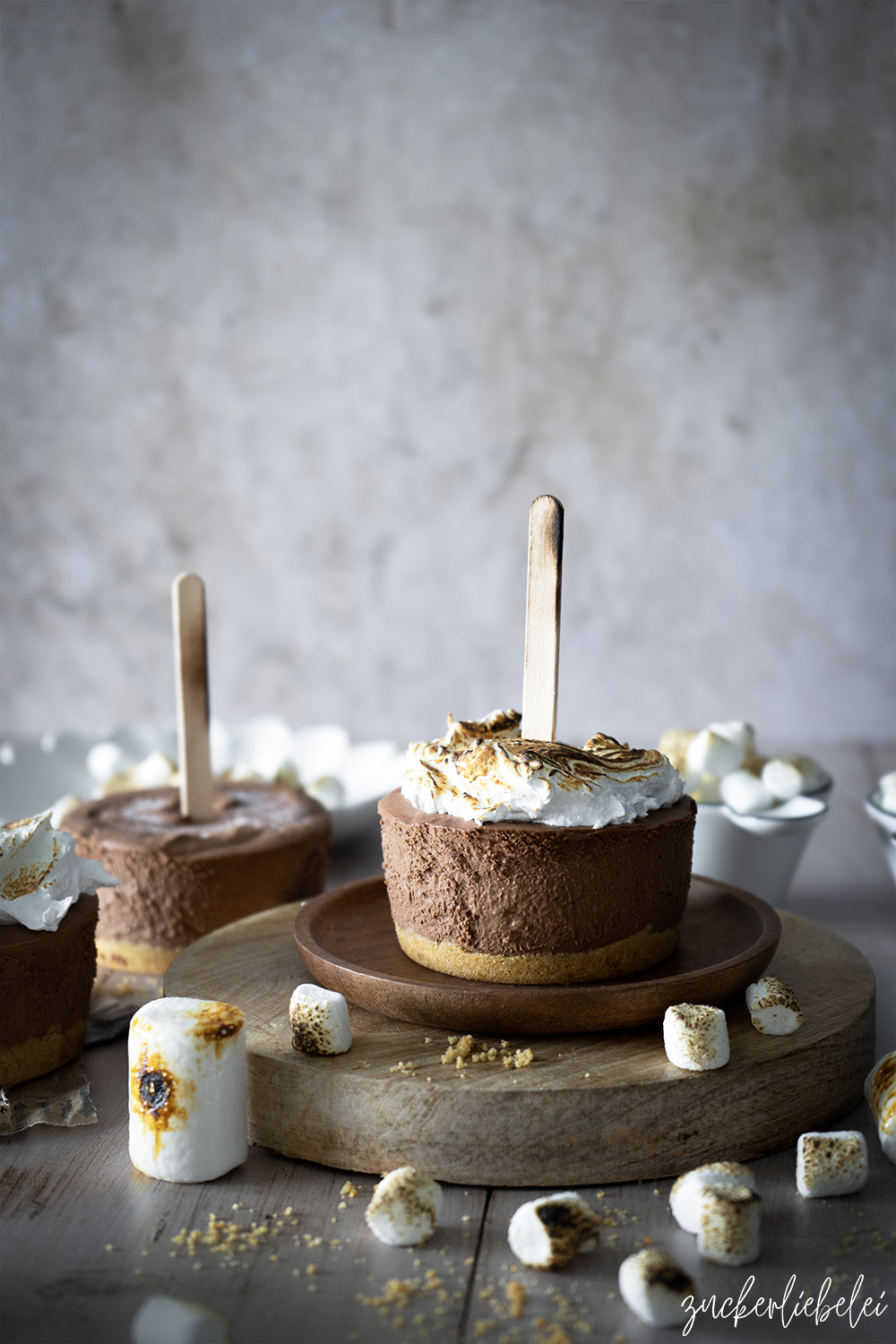 Jumbo S'mores Popsicles